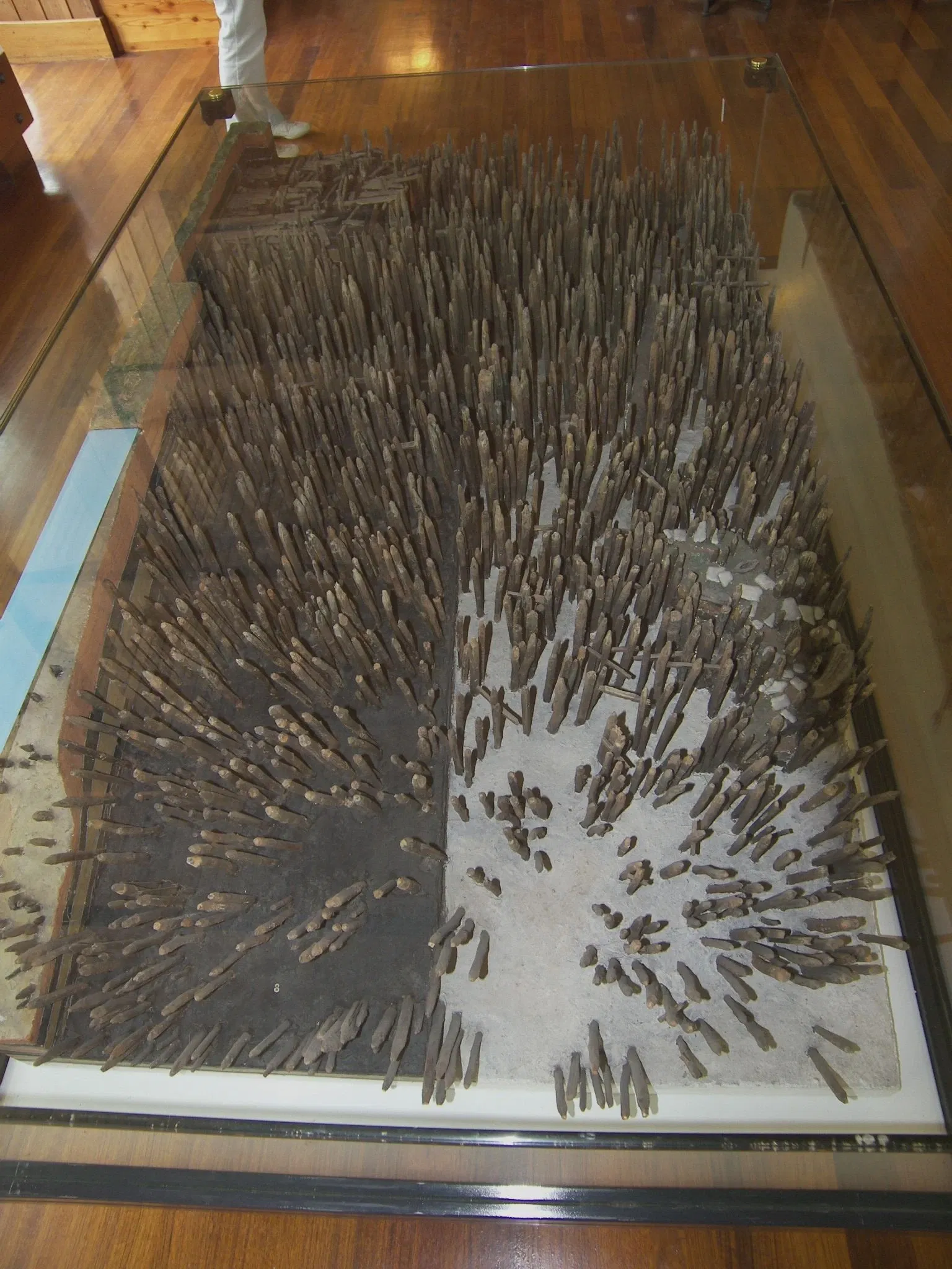 Lake Ledro Pile-Dwelling Museum