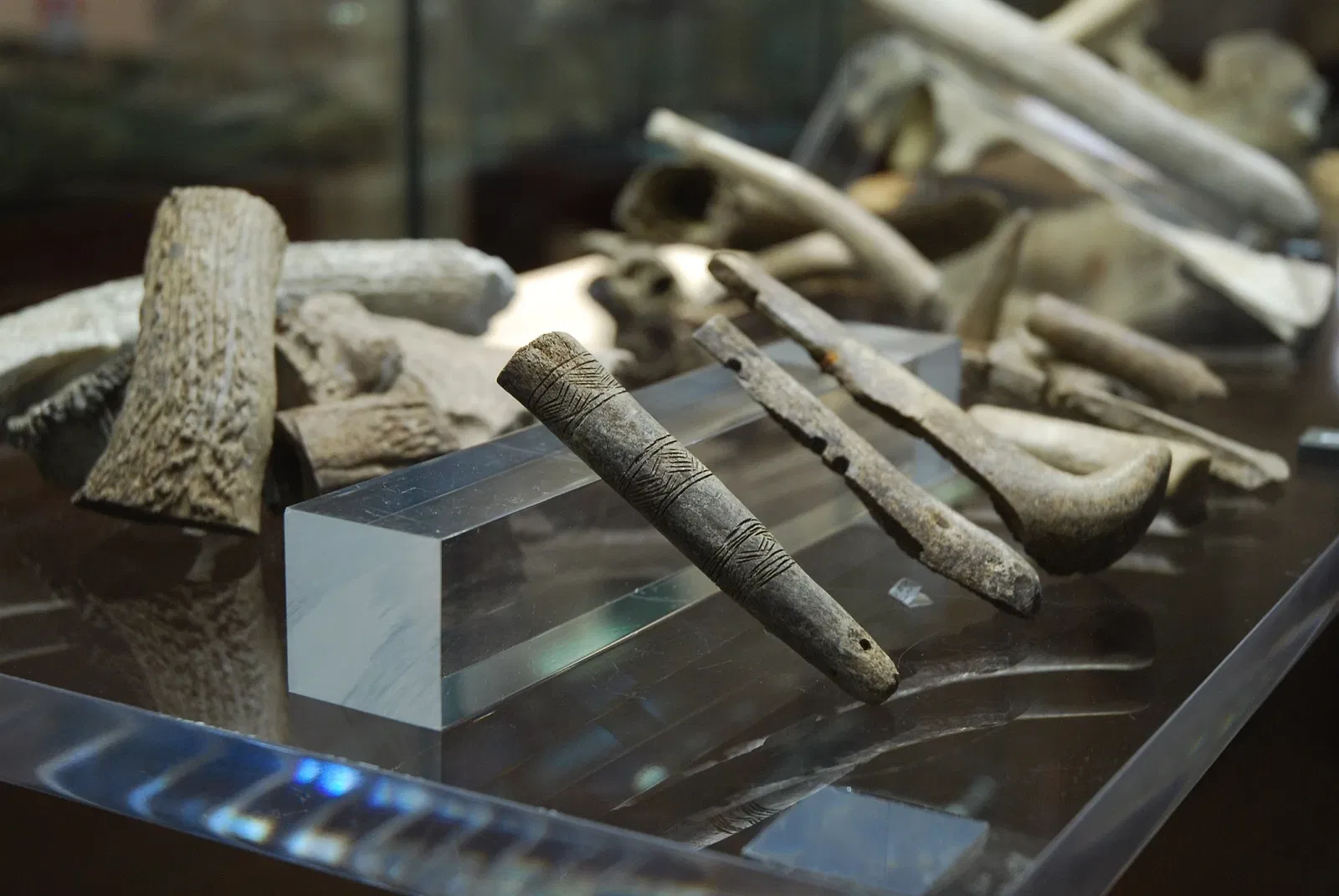 MAB - Museo Archeologico Ferruccio Barreca