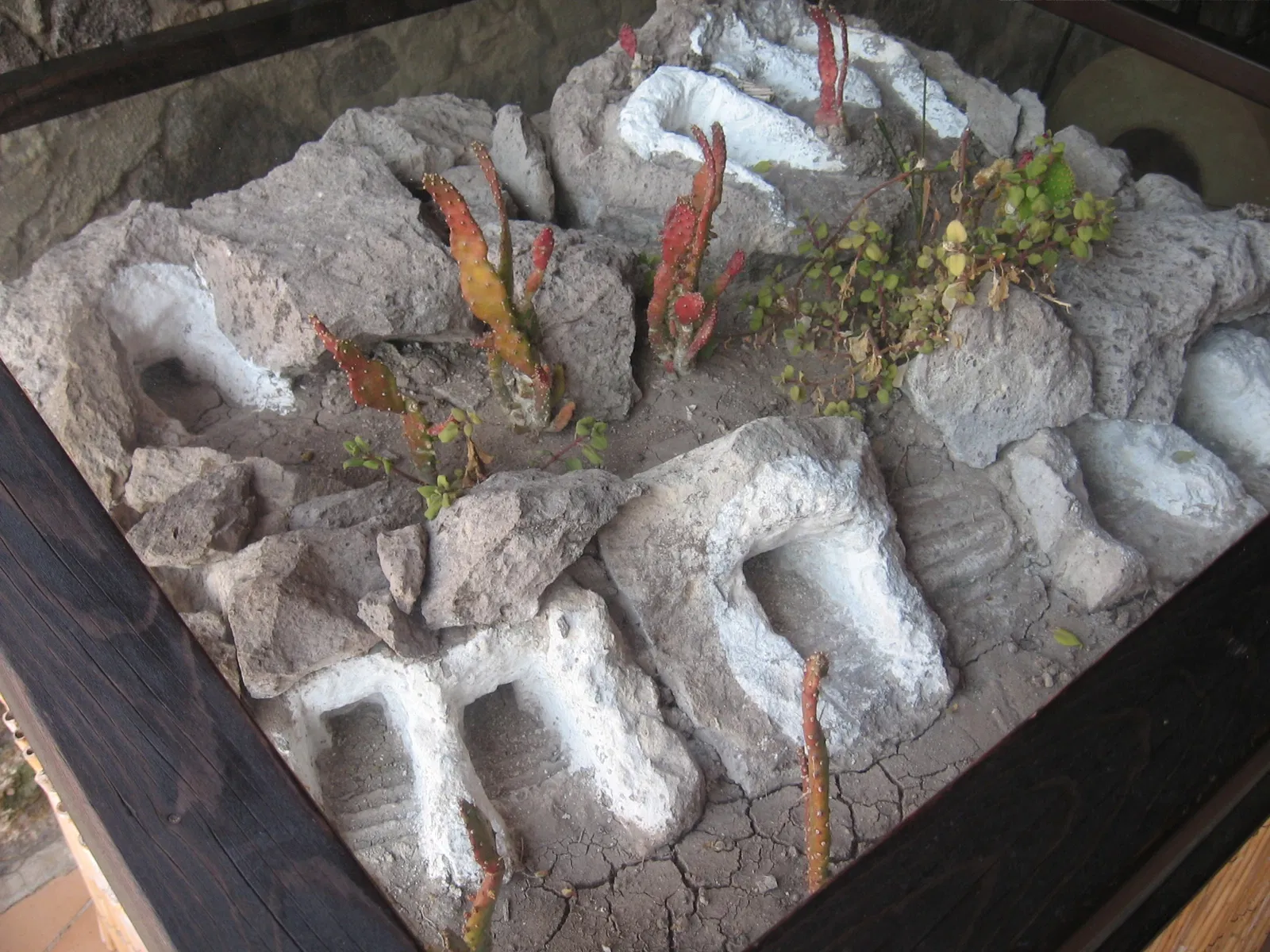 MAB - Museo Archeologico Ferruccio Barreca