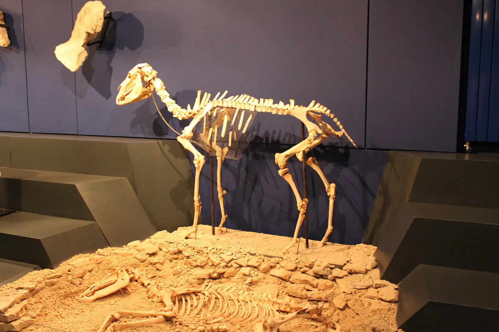 Musée du Pays Châtillonnais - Trésor de Vix