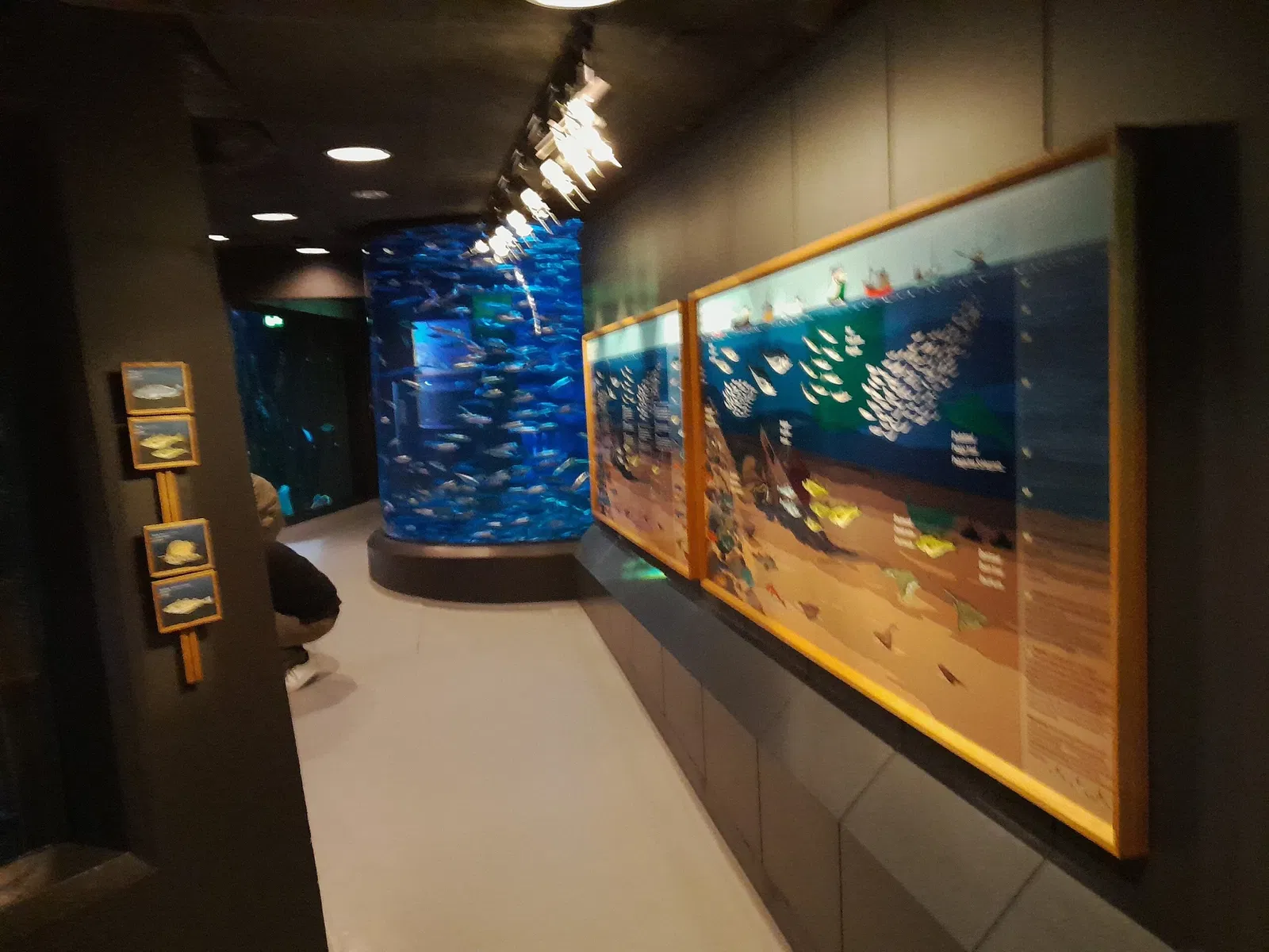 Fisheries and Maritime Museum