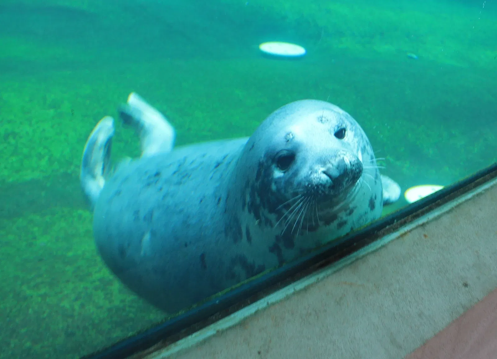 Fisheries and Maritime Museum