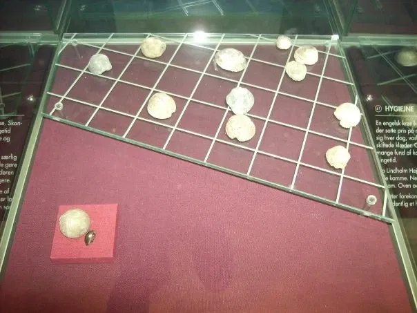 Vikingemuseet Lindholm Høje