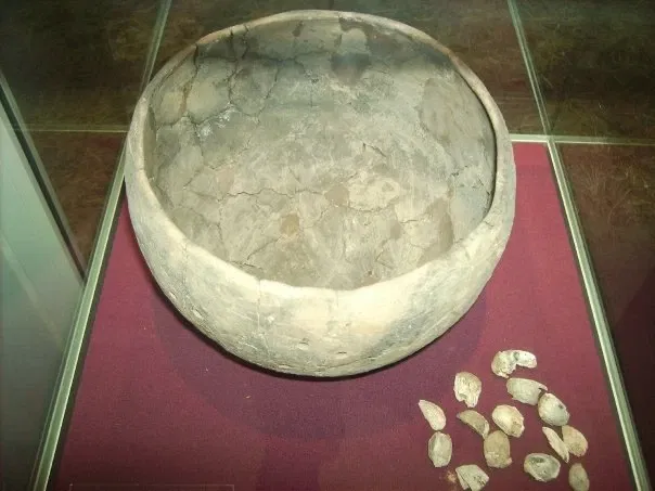 Vikingemuseet Lindholm Høje