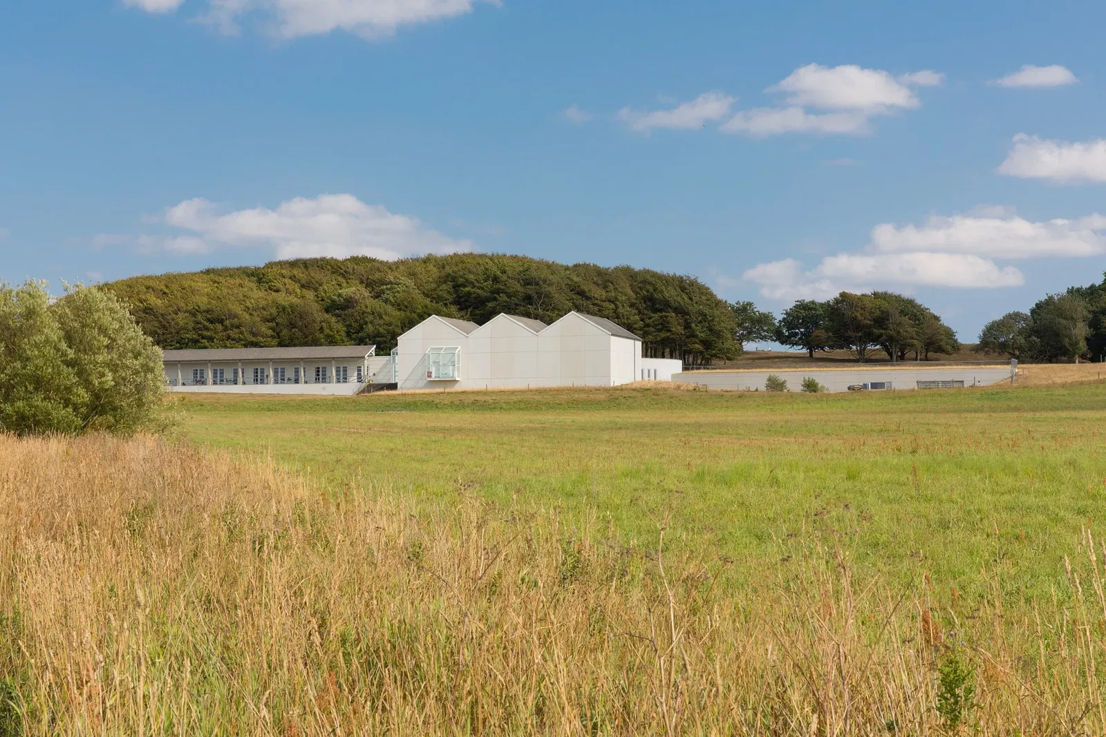 Vikingemuseet Lindholm Høje
