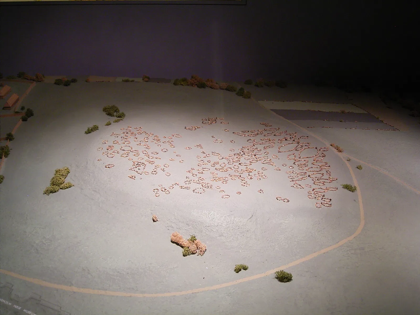 Vikingemuseet Lindholm Høje