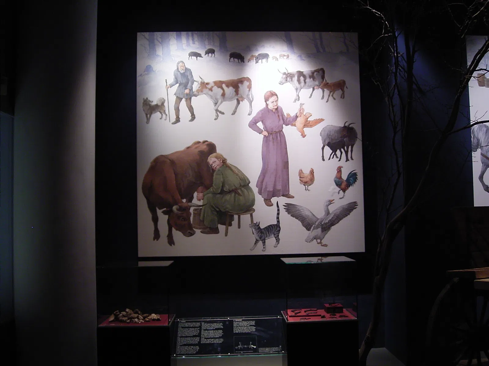 Vikingemuseet Lindholm Høje