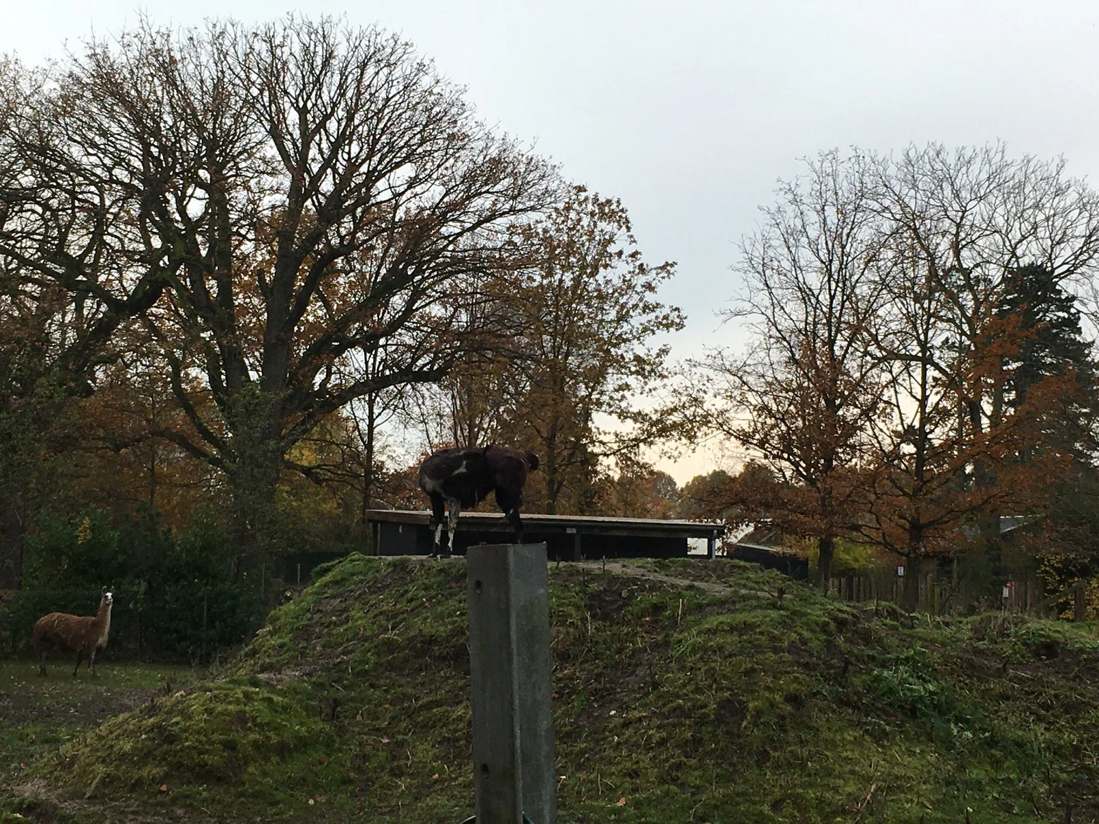 Guldborgsund Zoo & Botanical Garden