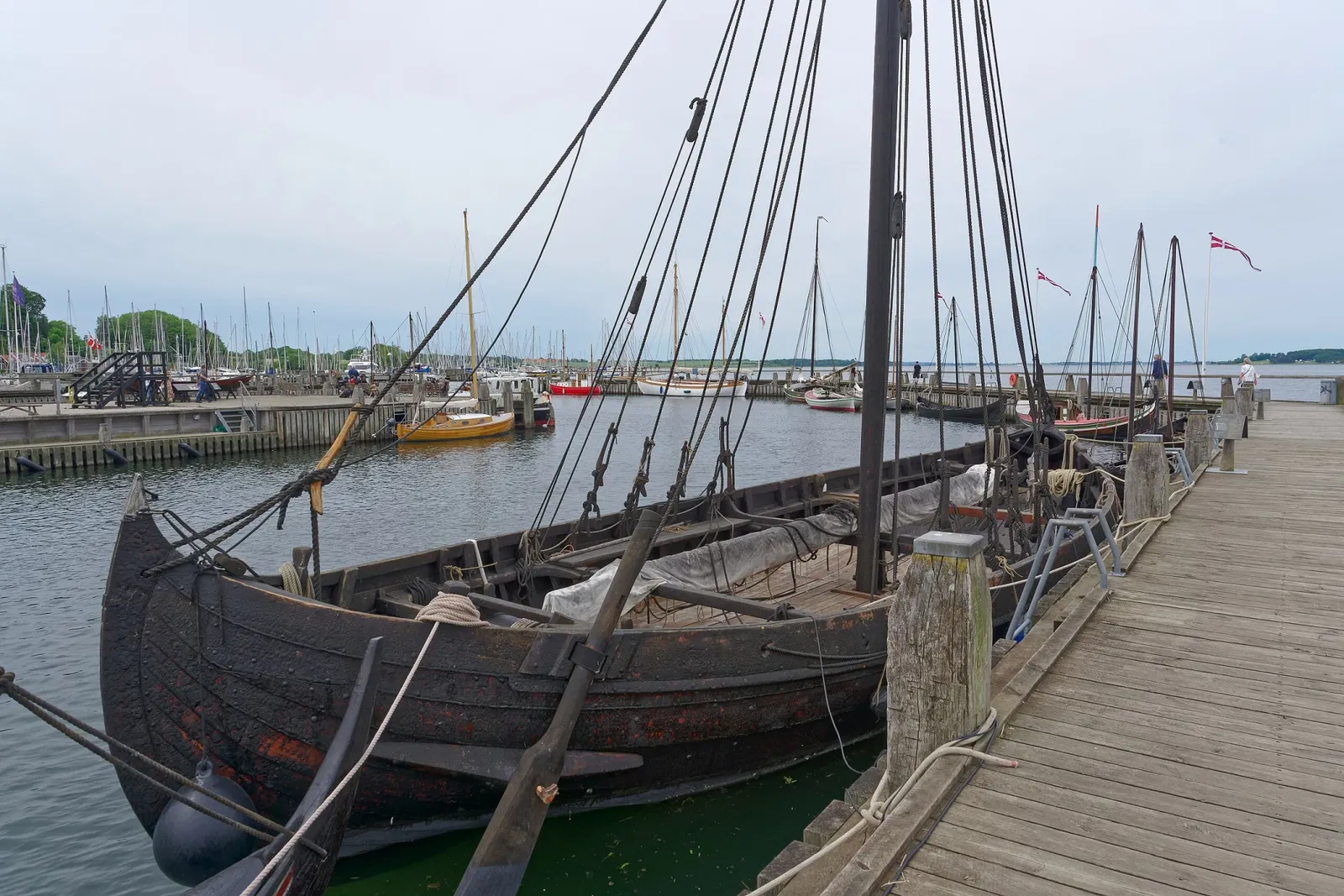 Viking Ship Museum