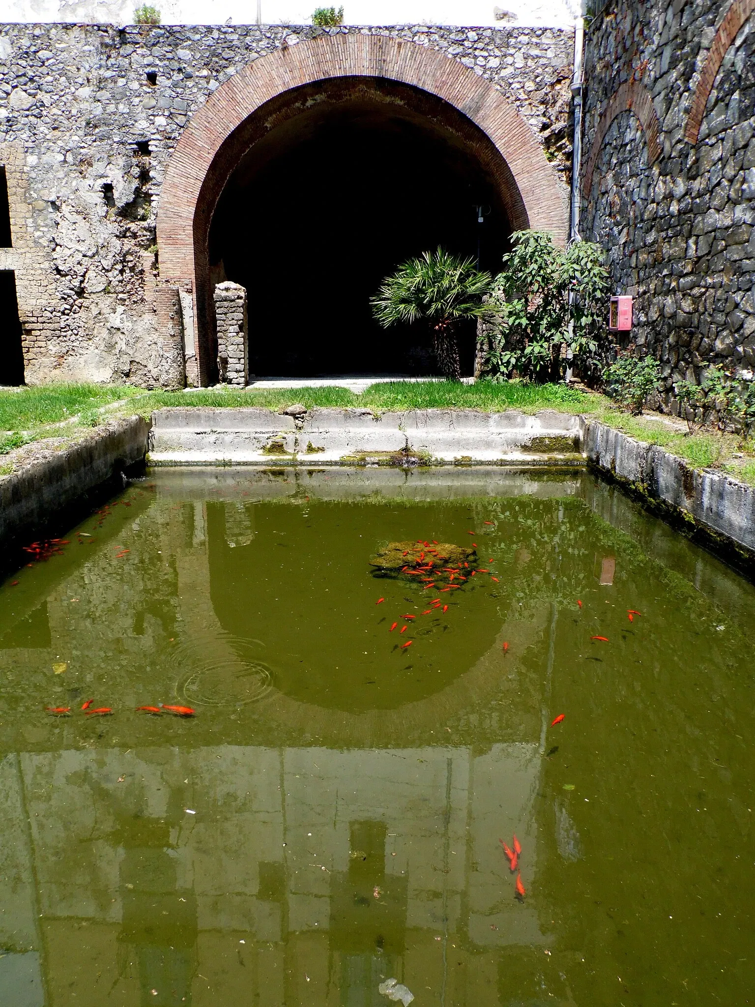 Villa Romana e Antiquarium