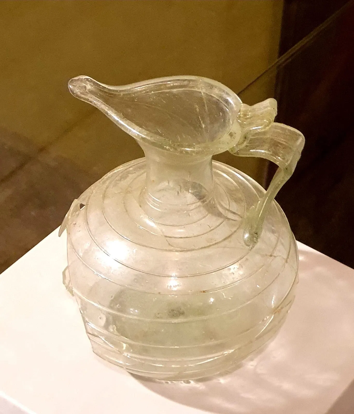 Museo di Archeologia e Paleontologia Carlo Conti