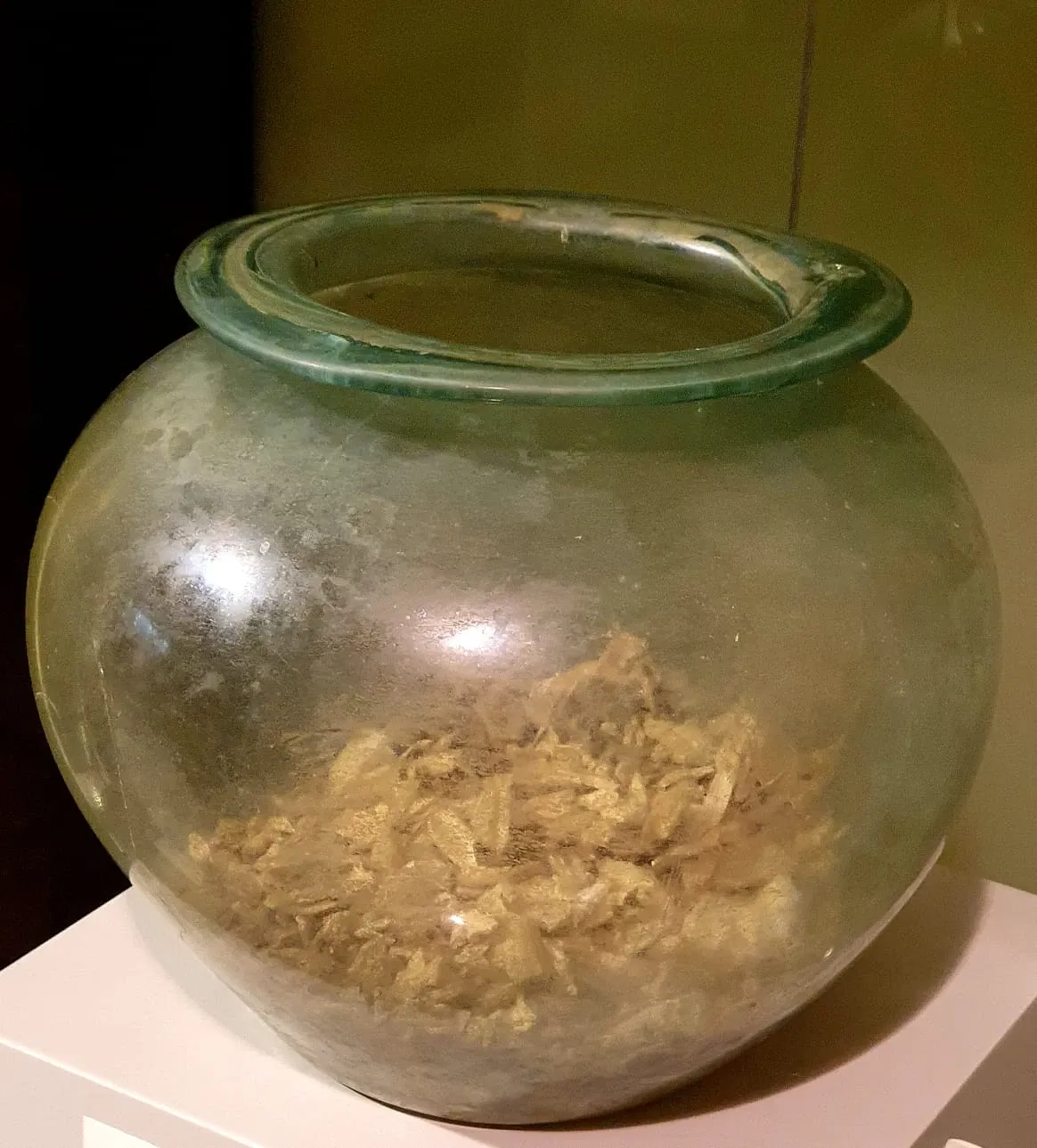 Museo di Archeologia e Paleontologia Carlo Conti