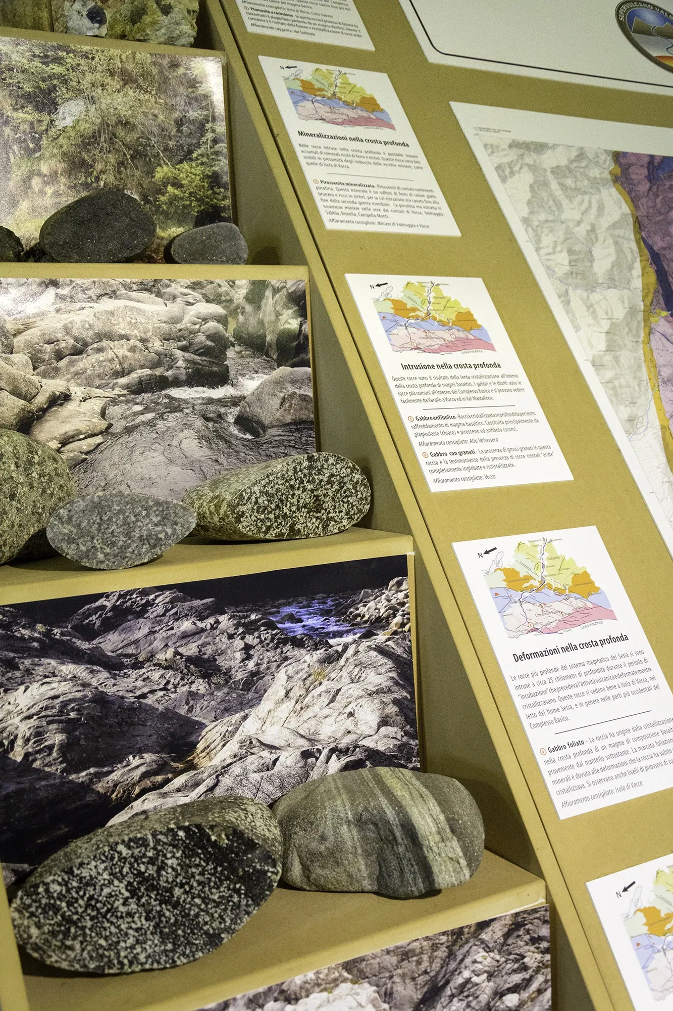 Museo di Archeologia e Paleontologia Carlo Conti