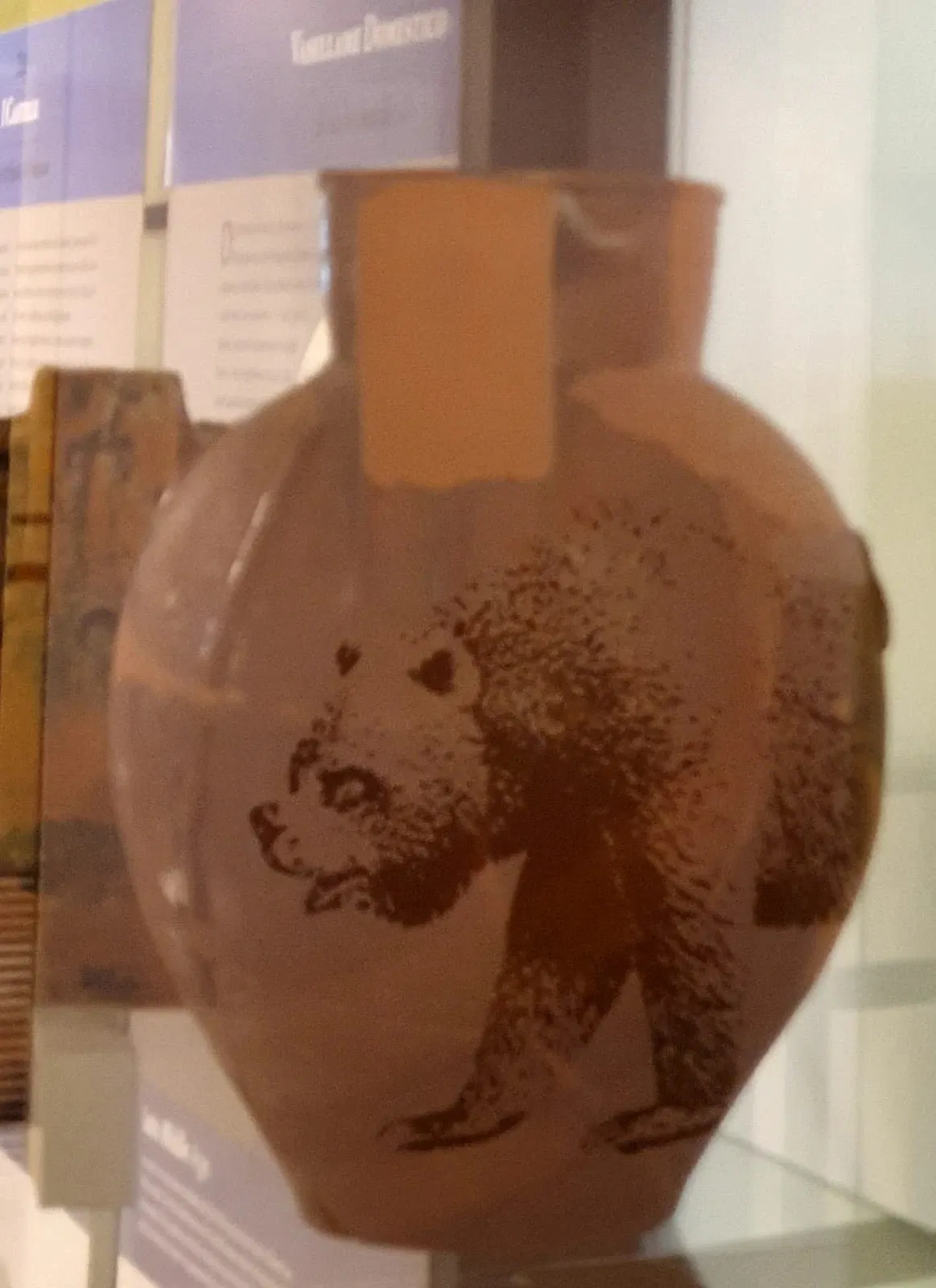 Museo di Archeologia e Paleontologia Carlo Conti