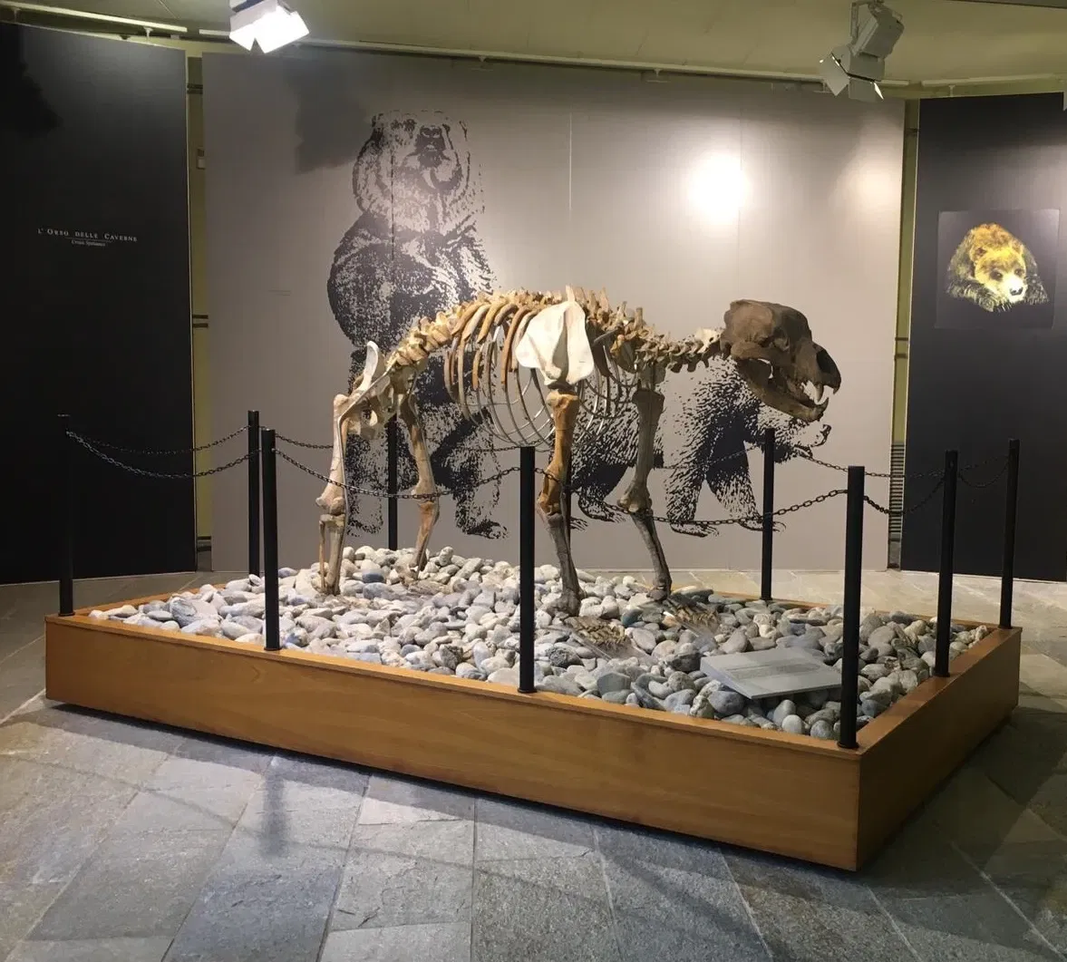 Museo di Archeologia e Paleontologia Carlo Conti