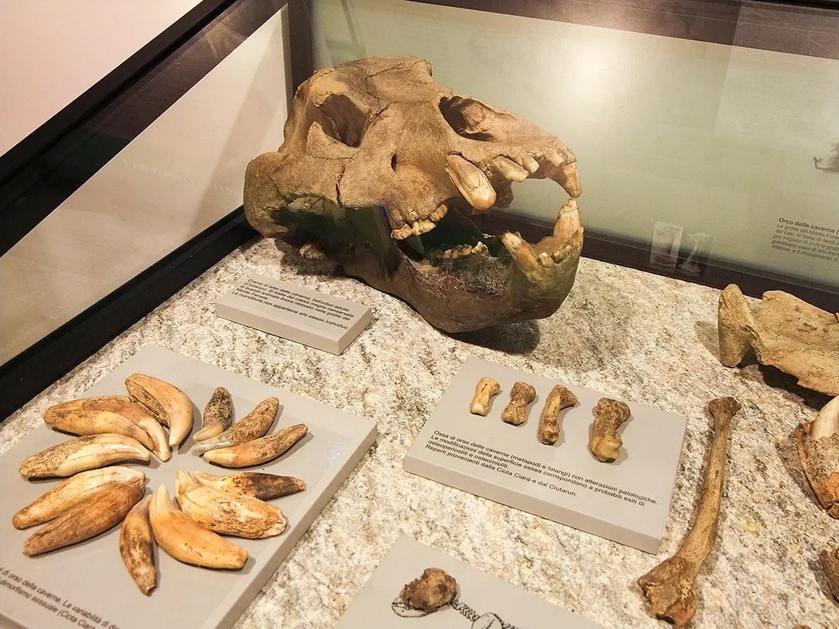 Museo di Archeologia e Paleontologia Carlo Conti