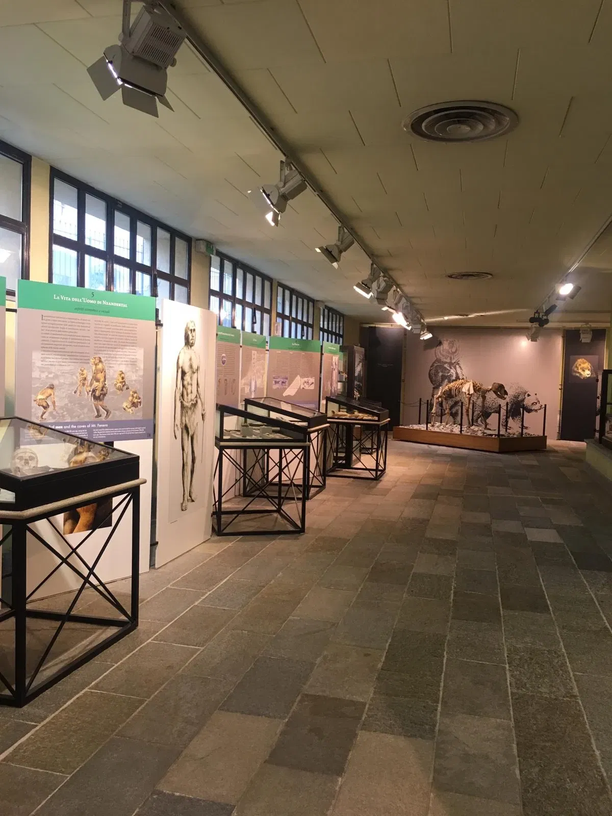 Museo di Archeologia e Paleontologia Carlo Conti