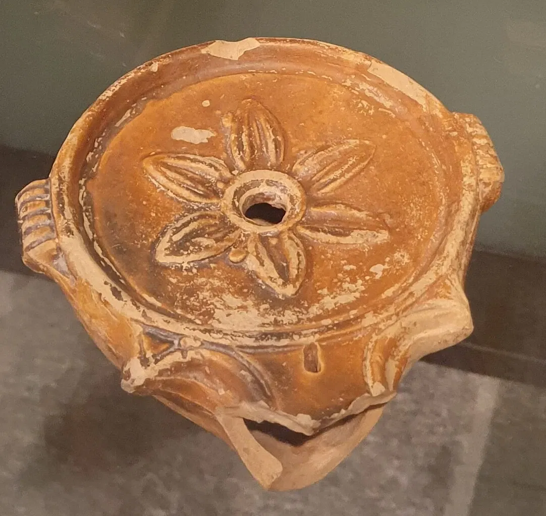 Museo di Archeologia e Paleontologia Carlo Conti