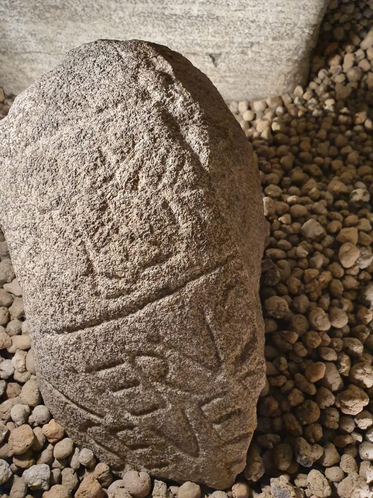 Museo di Archeologia e Paleontologia Carlo Conti