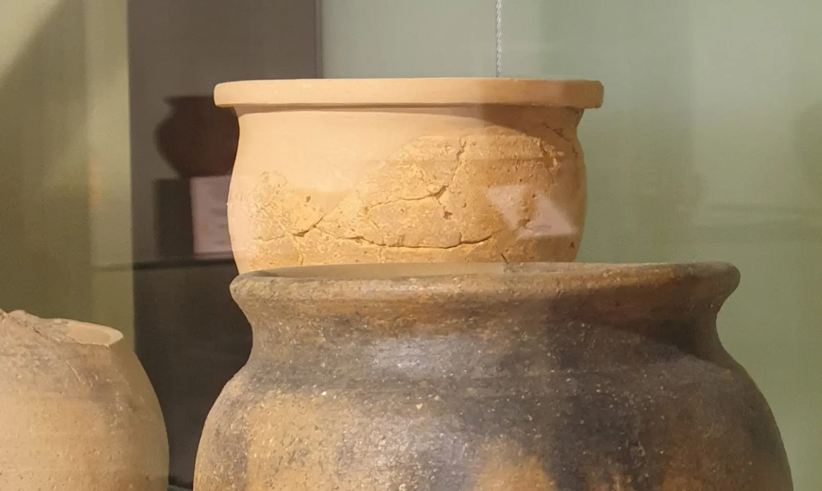 Museo di Archeologia e Paleontologia Carlo Conti