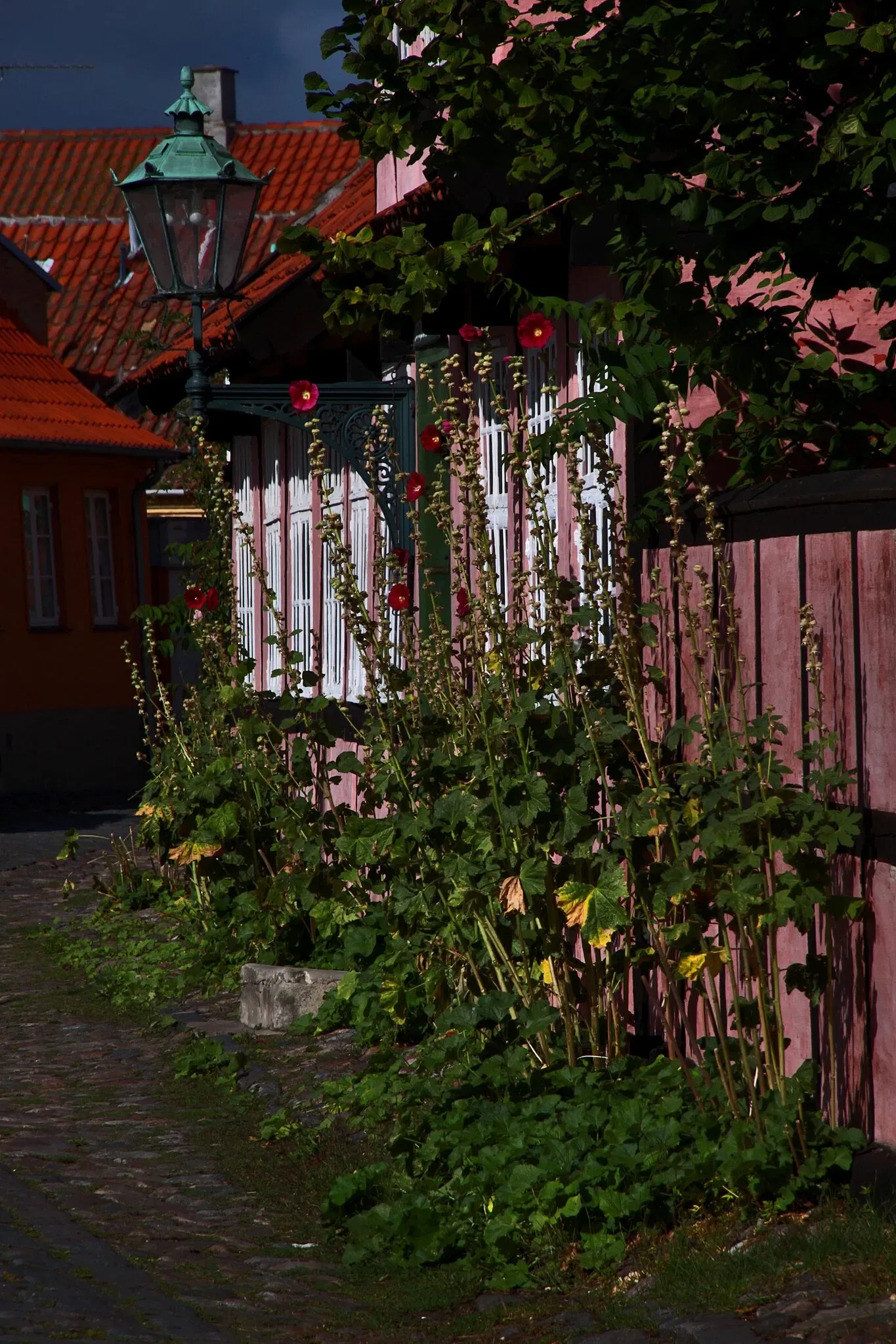 The Town and Garden Museum