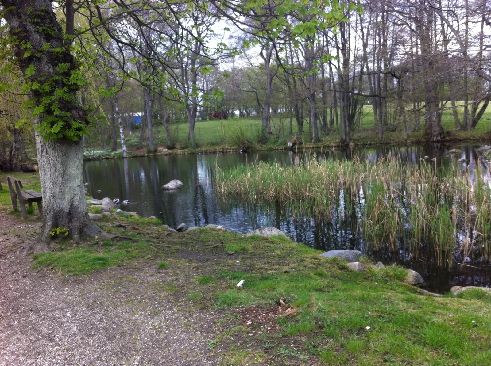 Hadsund Animal Garden