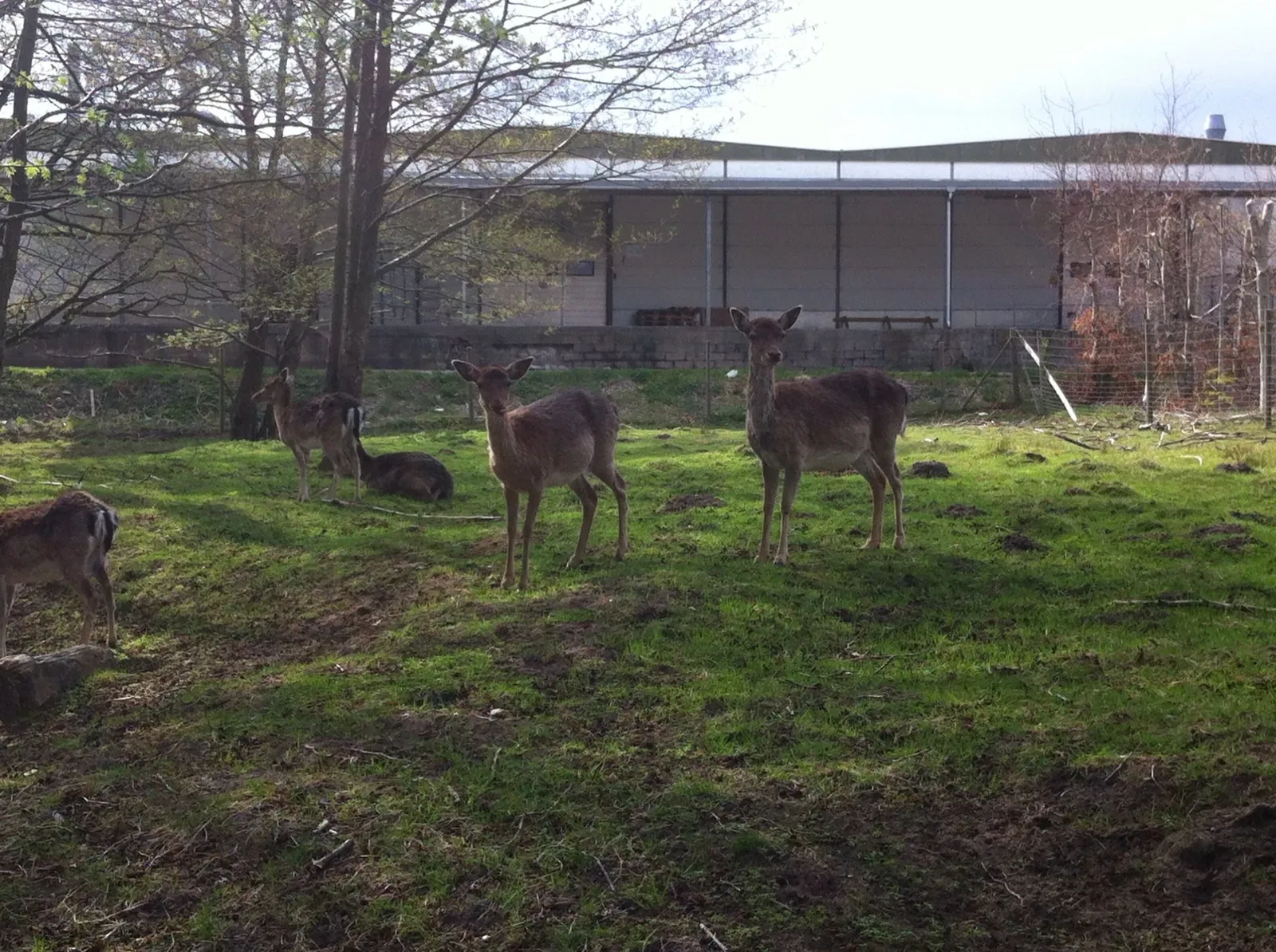 Hadsund Animal Garden
