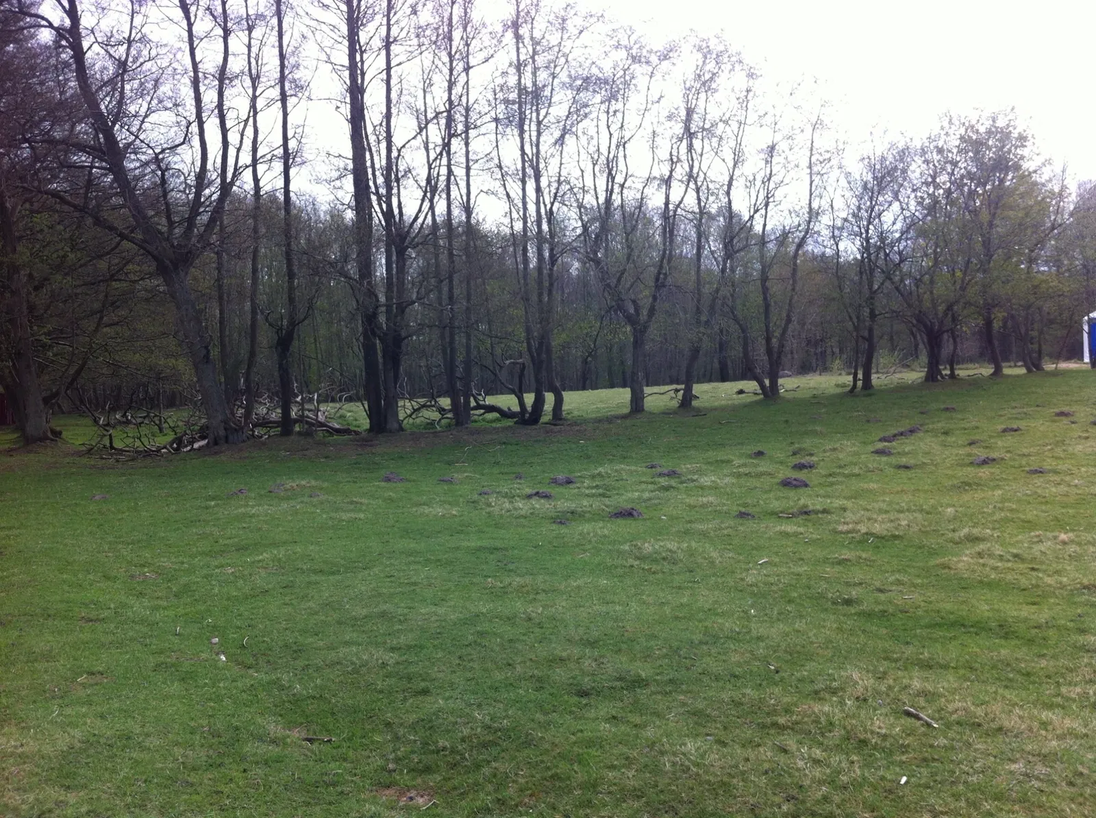 Hadsund Animal Garden