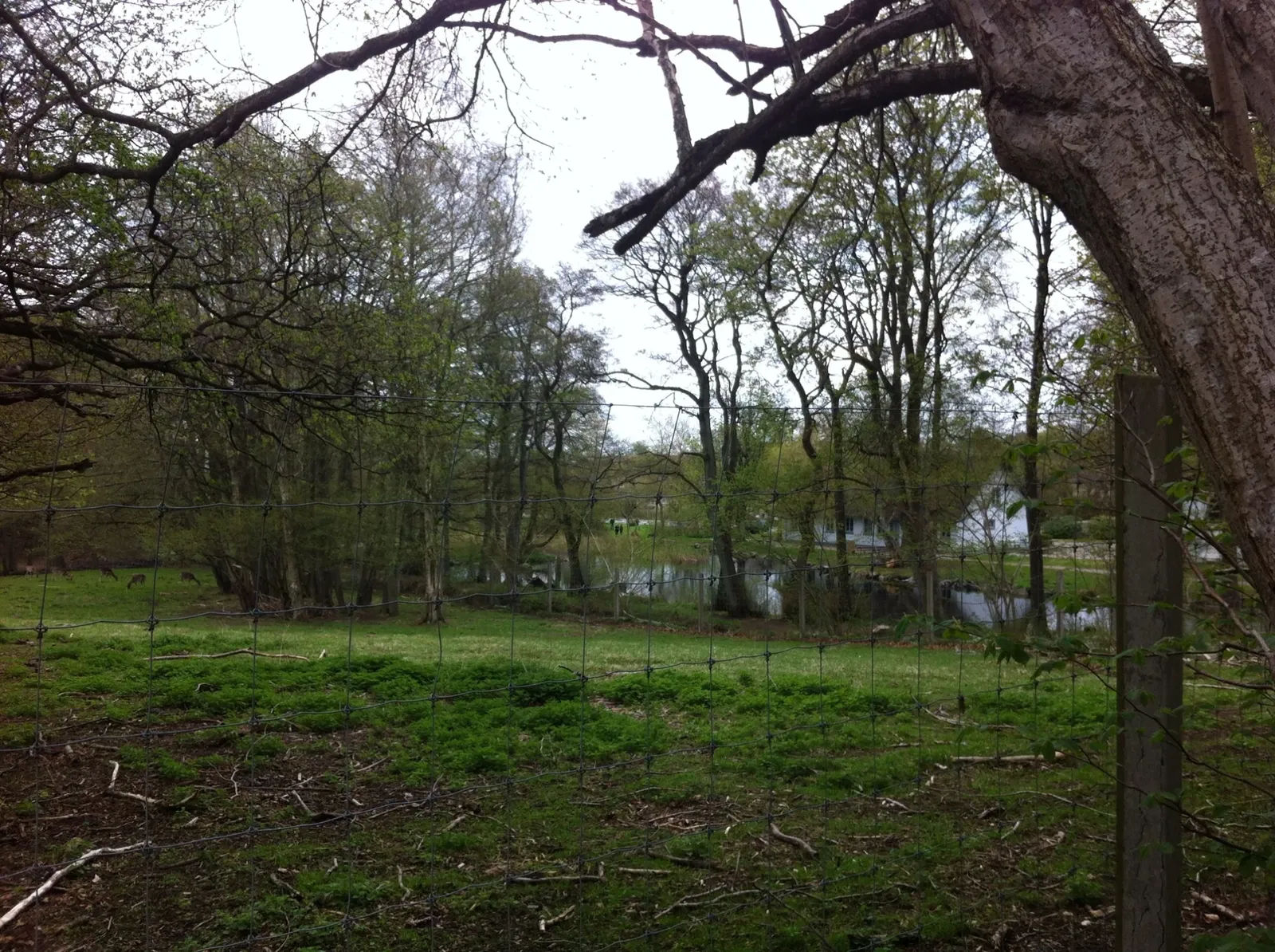 Hadsund Animal Garden