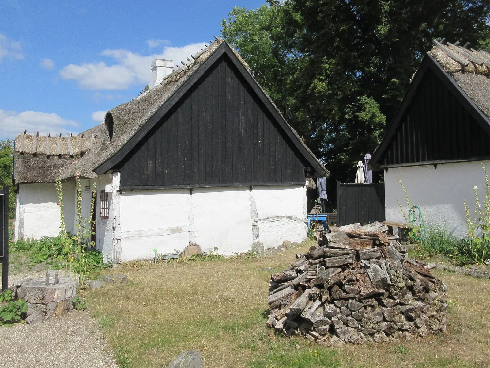 Viking Museum