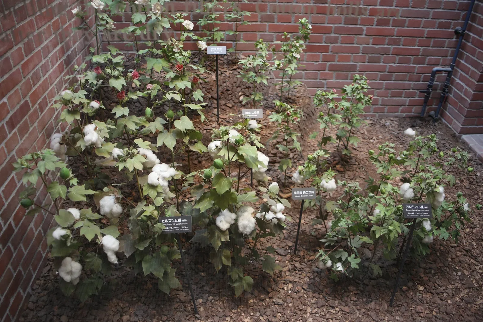 Toyota Commemorative Museum of Industry and Technology