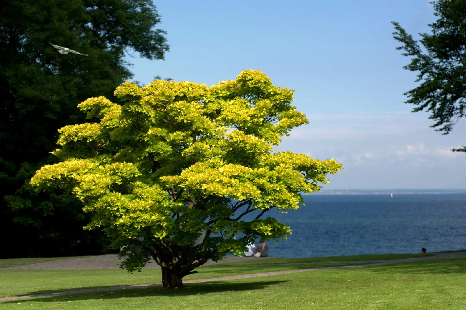 Louisiana Museum of Modern Art