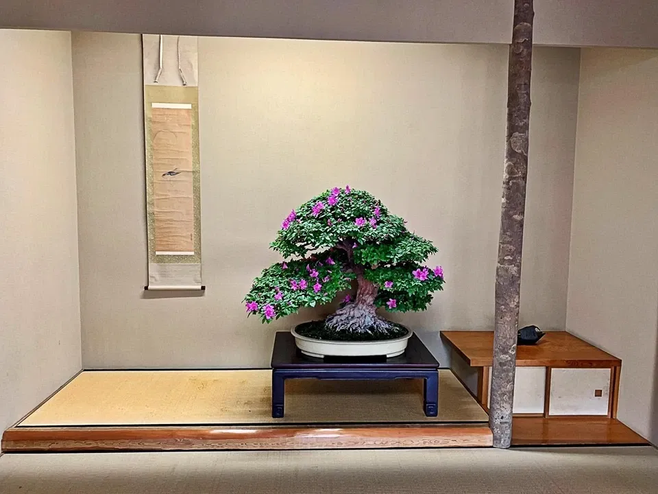 Shunkaen Bonsai Museum