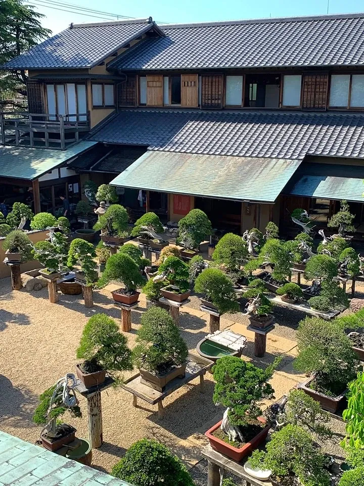 Shunkaen Bonsai Museum