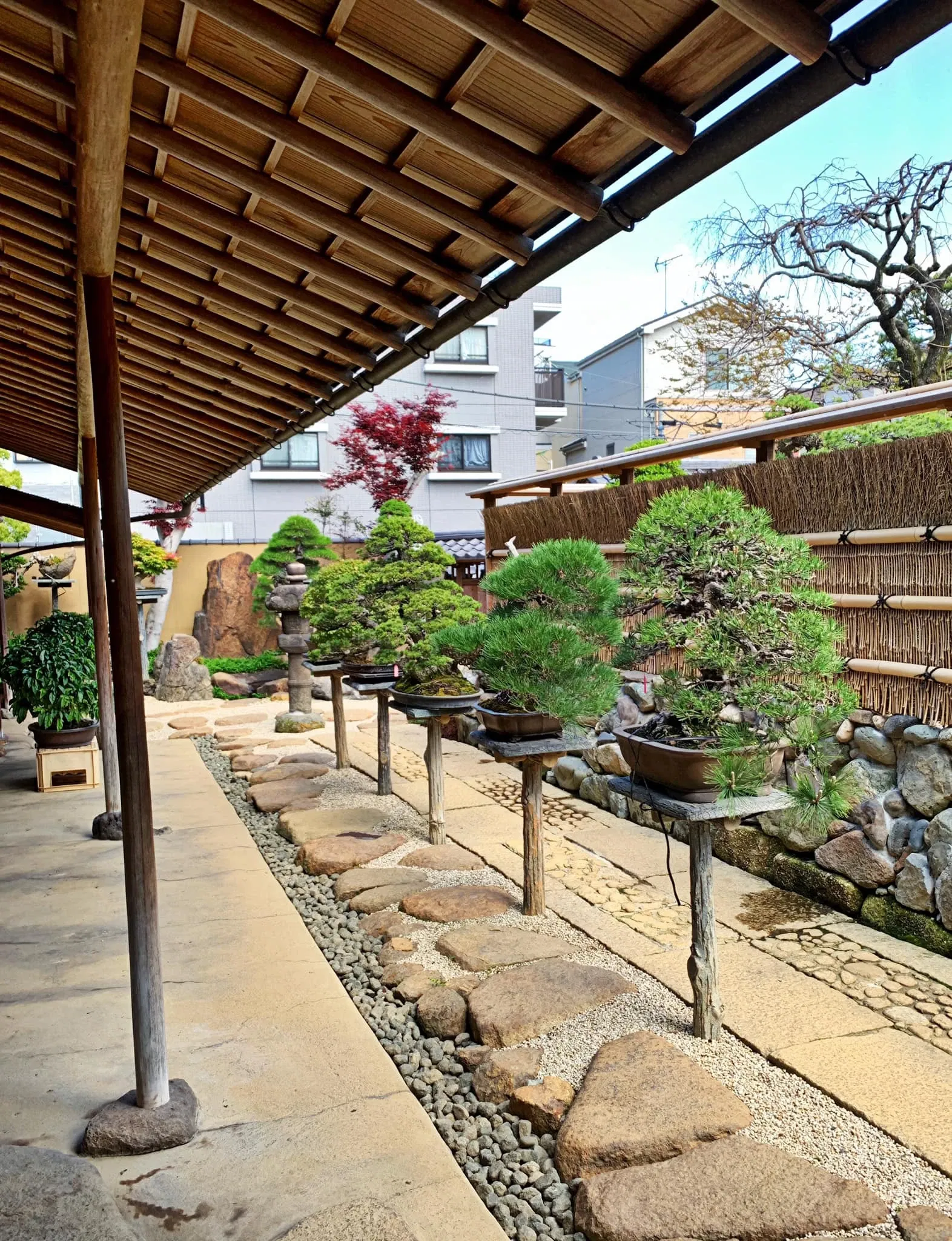 Shunkaen Bonsai Museum