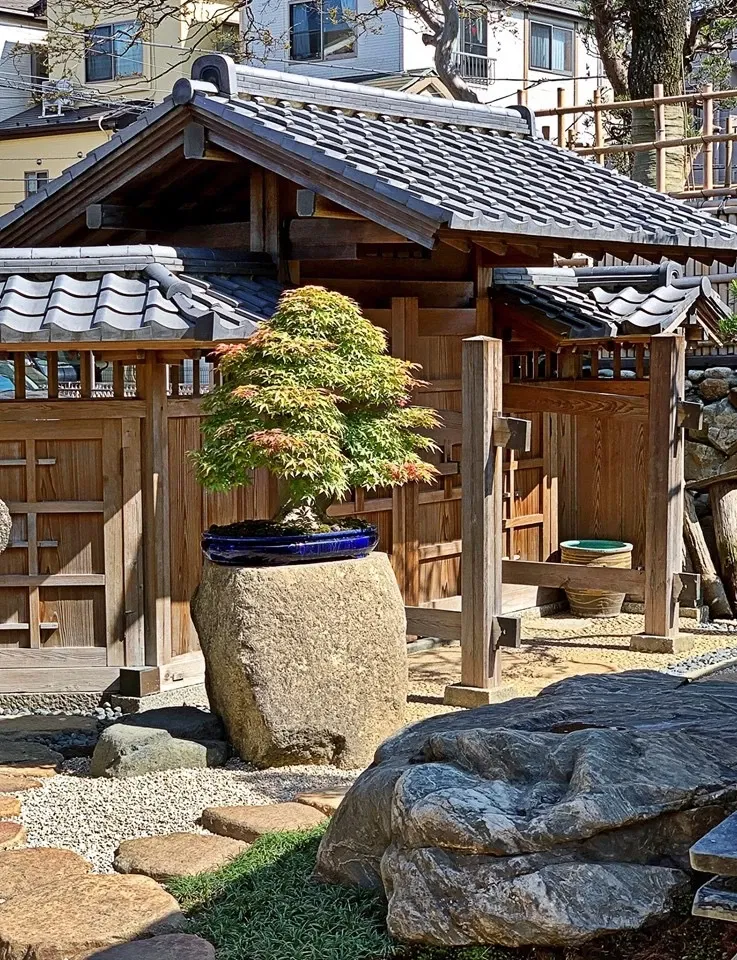 Shunkaen Bonsai Museum
