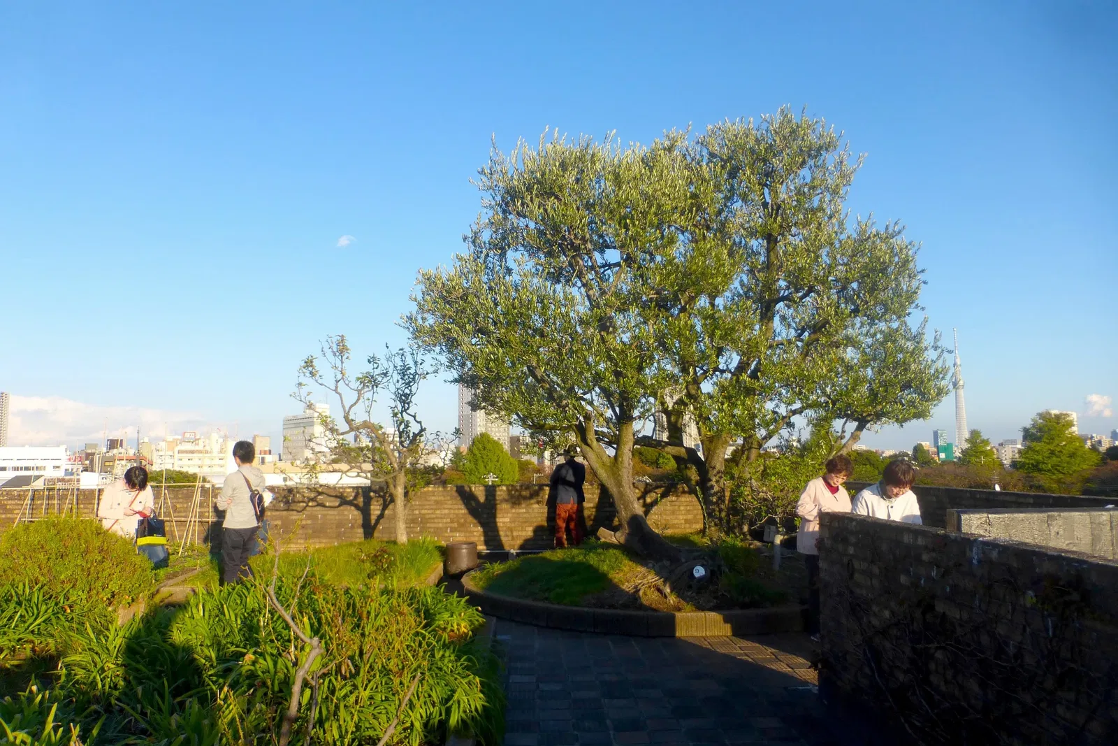 Asakura Museum of Sculpture