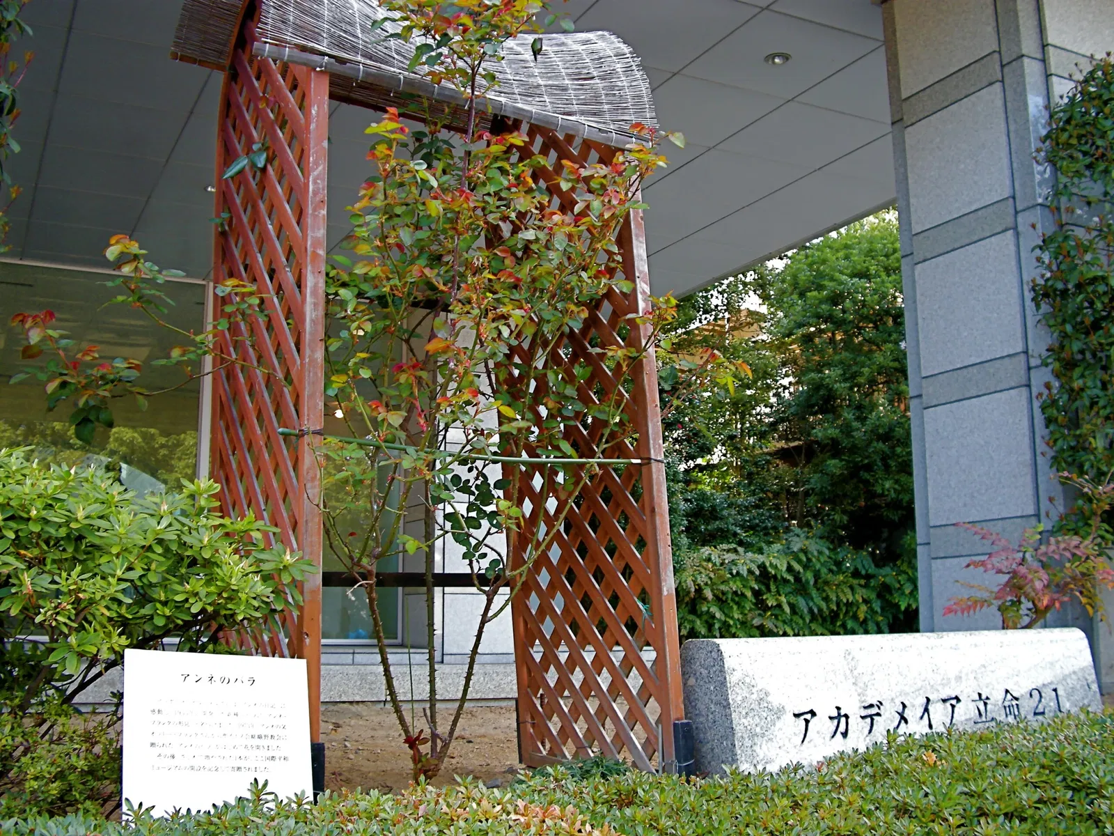 Kyoto Museum for World Peace, Ritsumeikan University