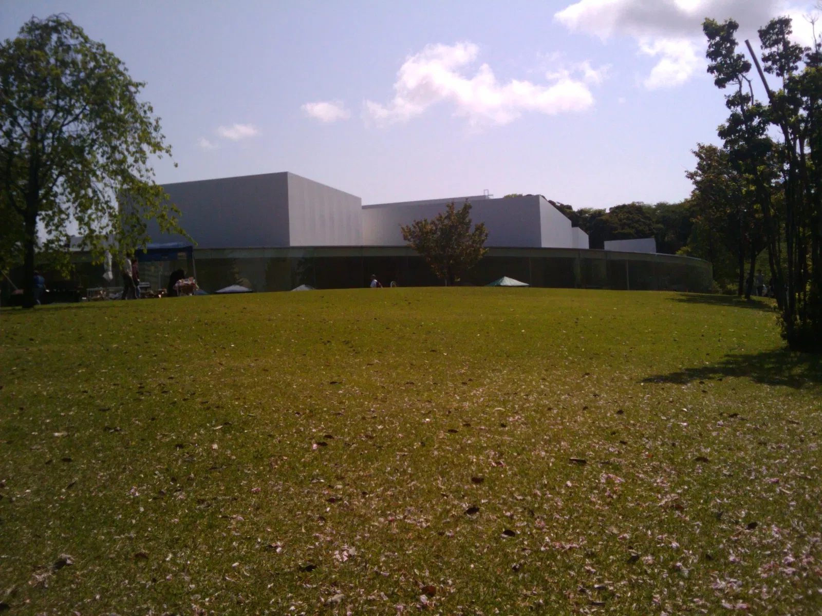 21st Century Museum of Contemporary Art, Kanazawa