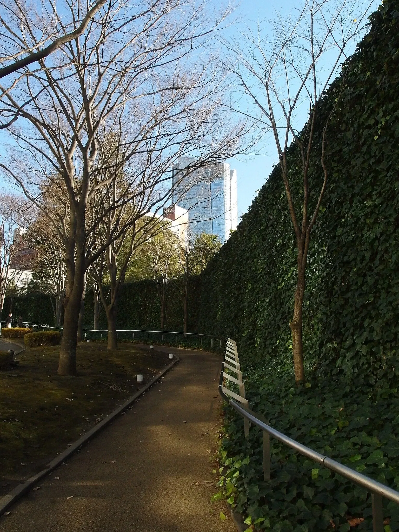 The National Art Center, Tokyo