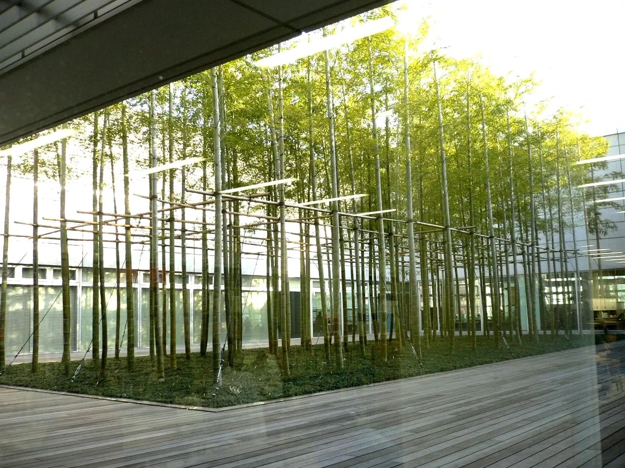 The National Art Center, Tokyo