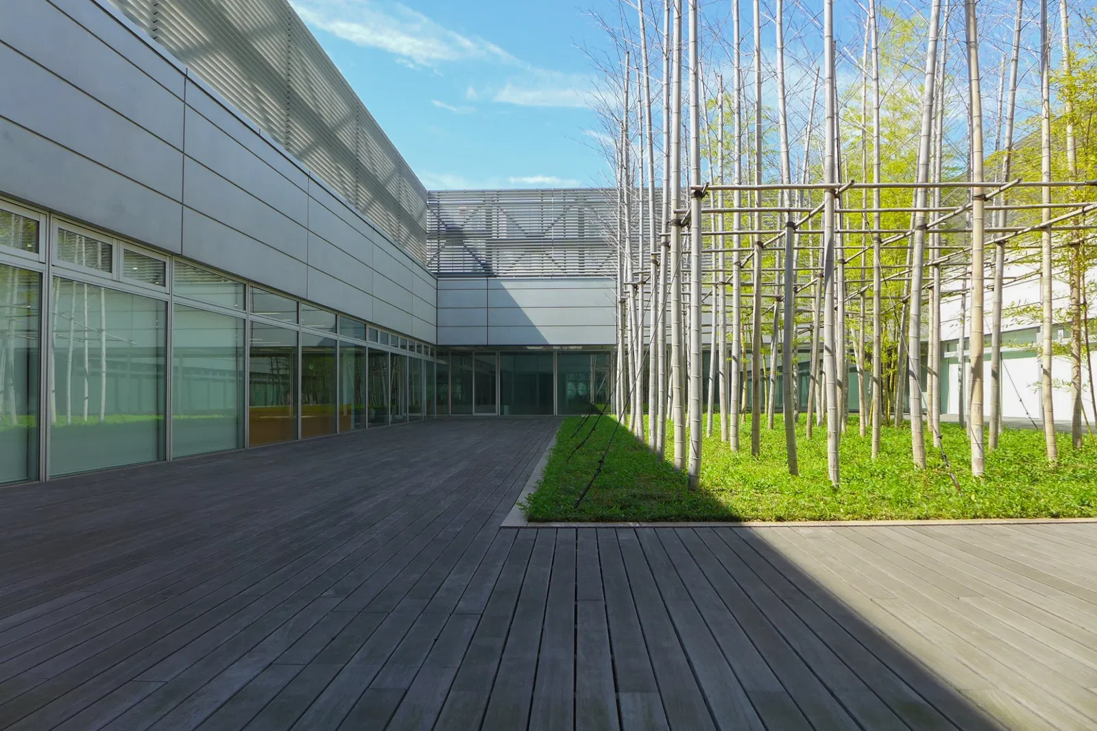 The National Art Center, Tokyo