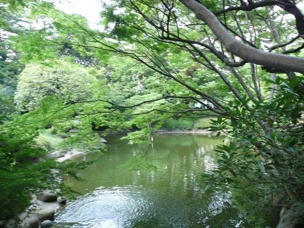 Tokyo Metropolitan Teien Art Museum