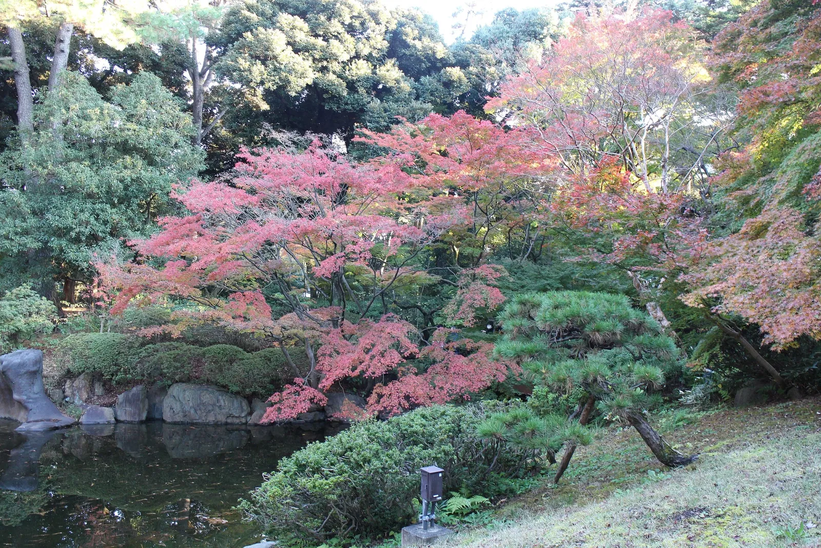 Tokyo Metropolitan Teien Art Museum