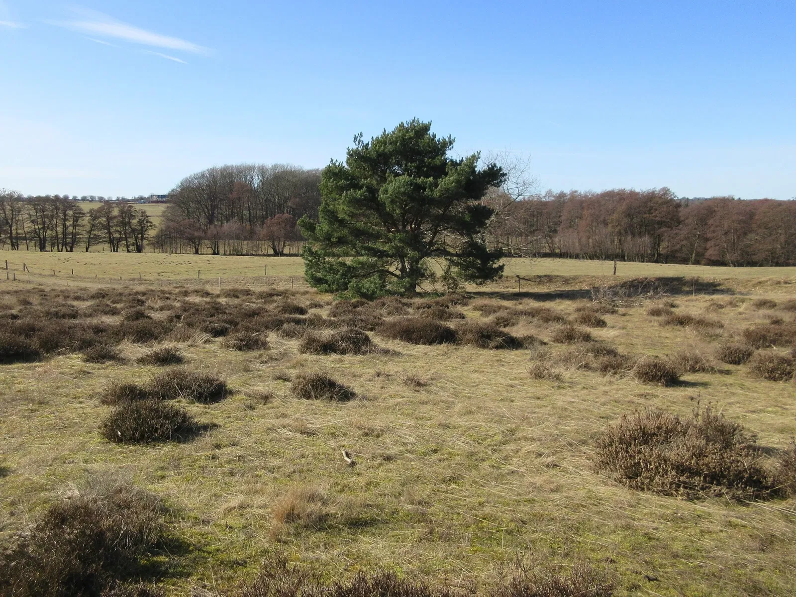 Rudolph Tegners Museum