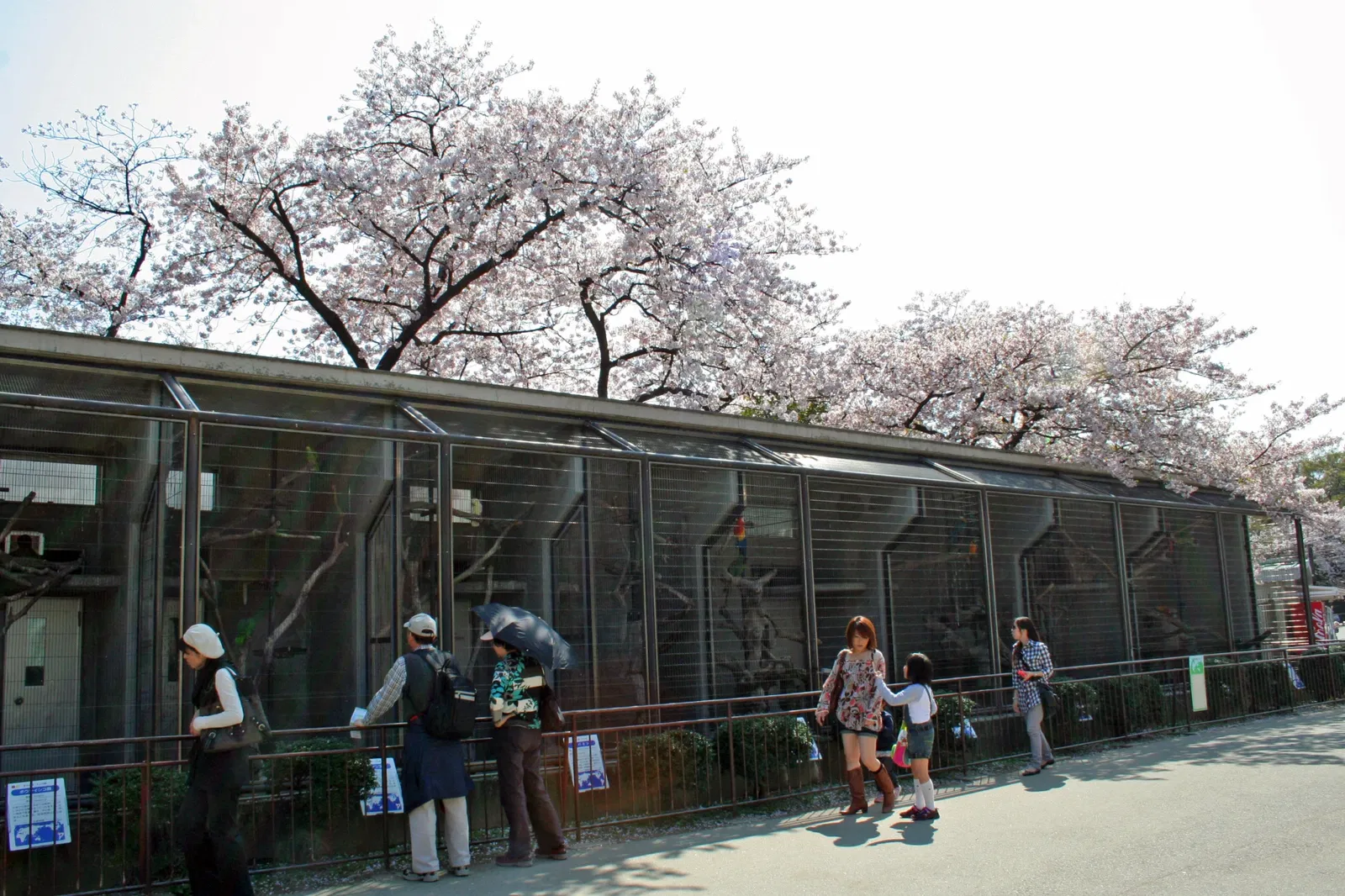 Kobe Oji Zoo