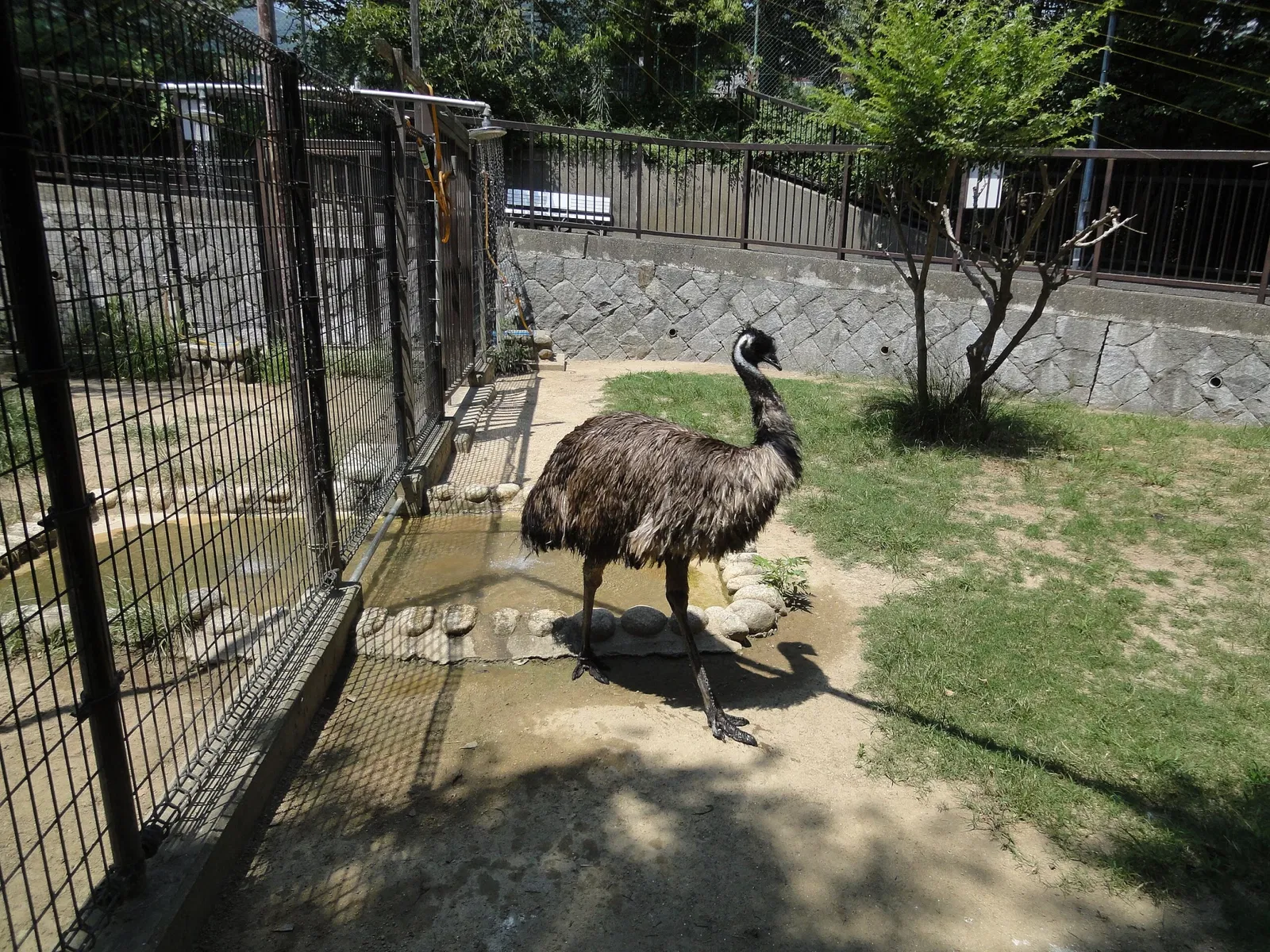 Kobe Oji Zoo
