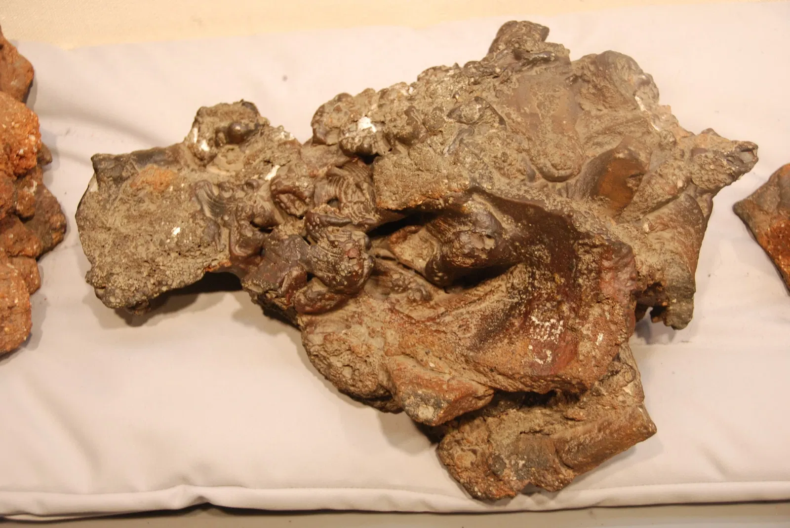 Hiroshima Peace Memorial Museum