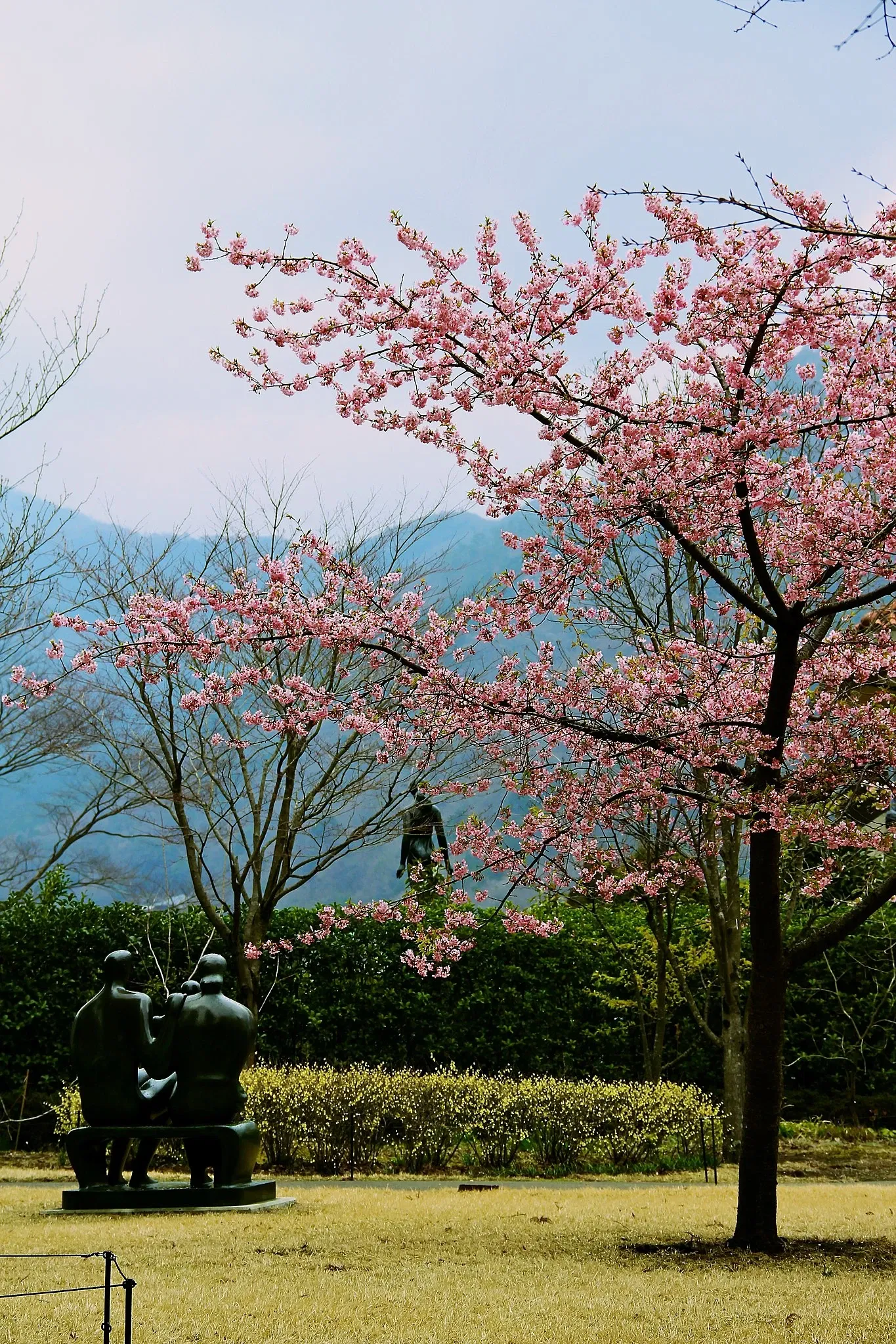 The Hakone Open-Air Museum
