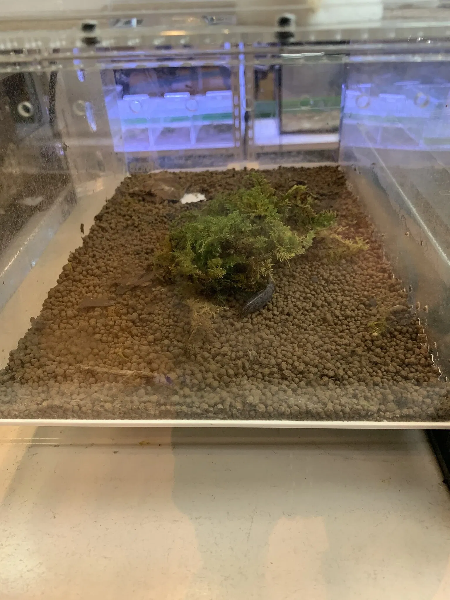 Kitakyushu Museum of Natural History & Human History